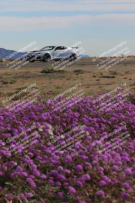 media/Jan-08-2023-SCCA SD (Sun) [[8f6a5b9391]]/Advanced Group/Session 2 (Short Straight)/